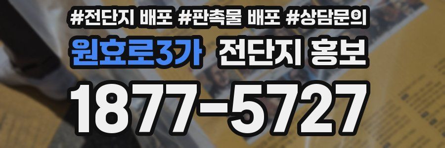 원효로3가 전단지 홍보