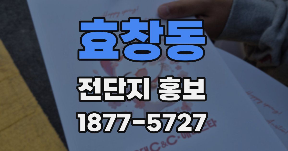 효창동 전단지 홍보