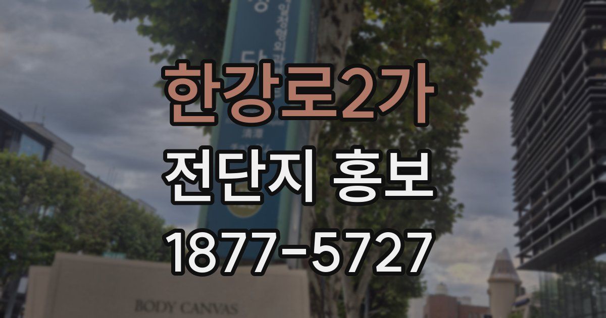 한강로2가 전단지 홍보