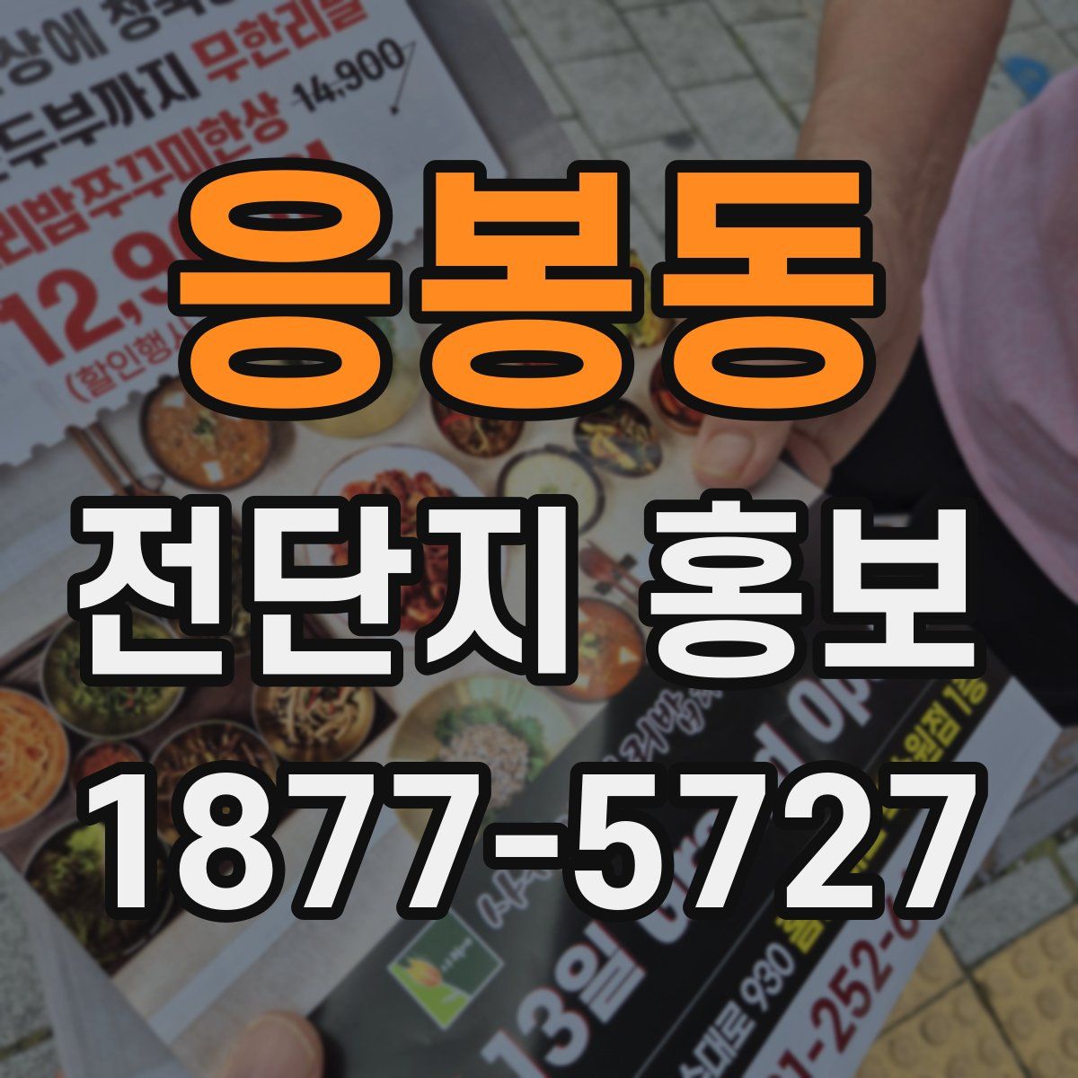 응봉동 전단지 홍보