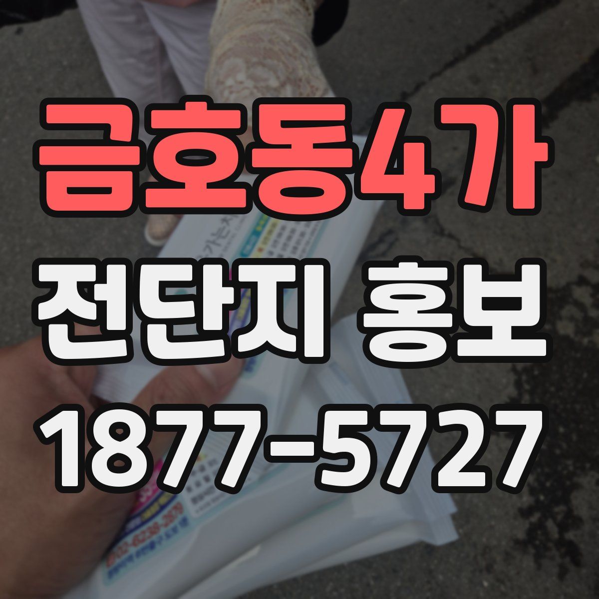 금호동4가 전단지 홍보