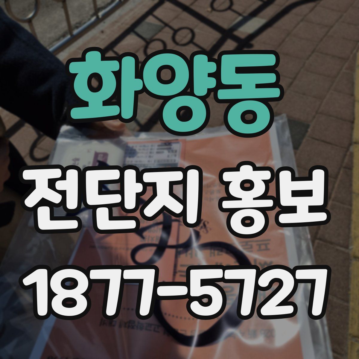 화양동 전단지 홍보