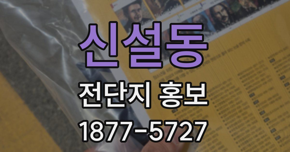 신설동 전단지 홍보