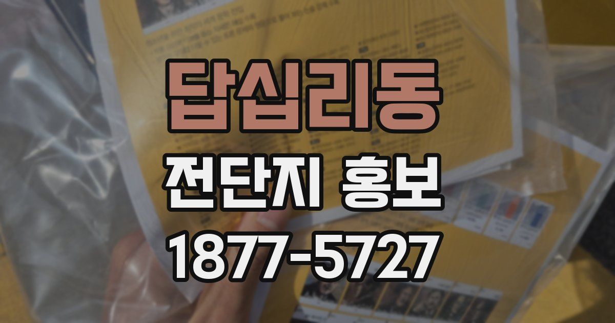 답십리동 전단지 홍보