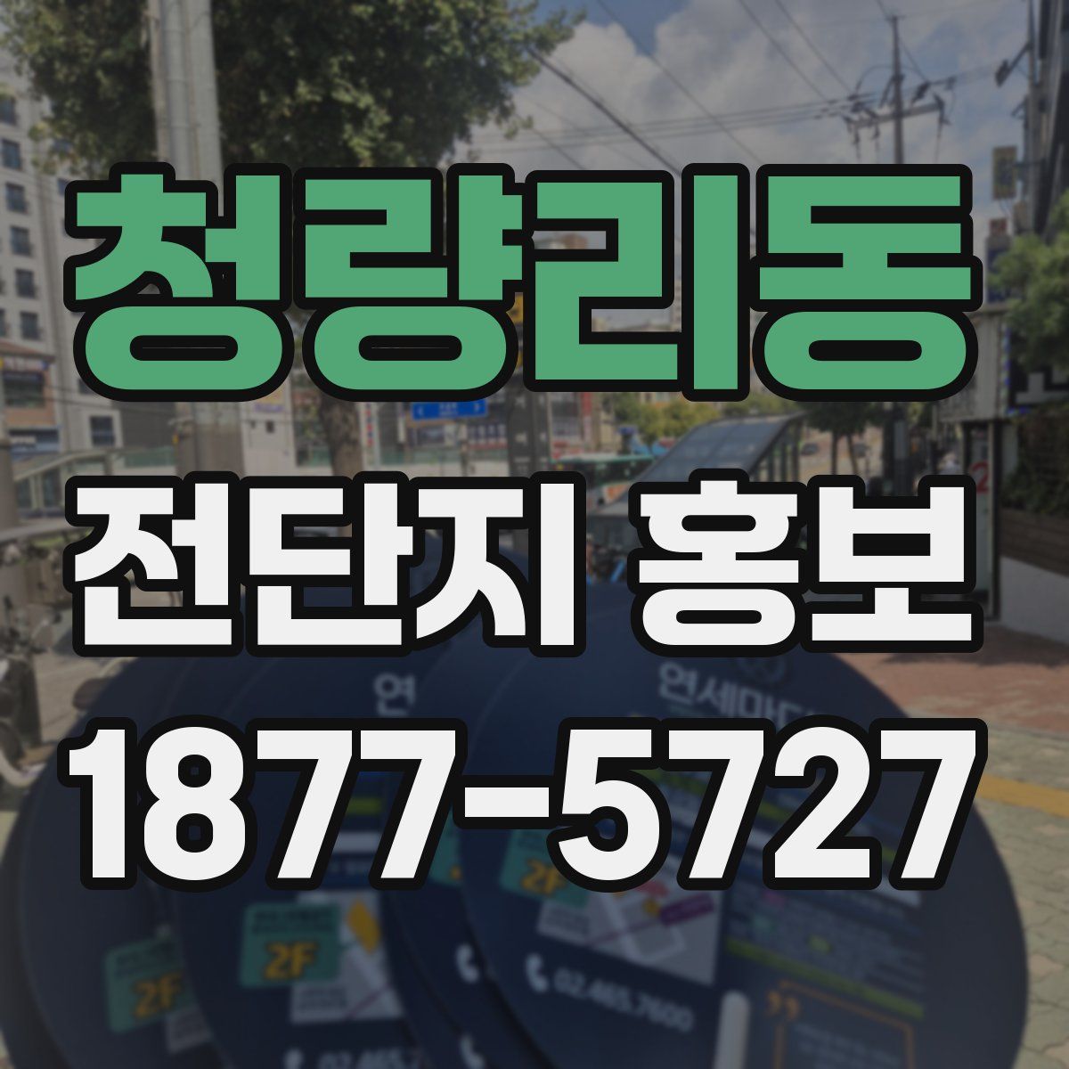 청량리동 전단지 홍보