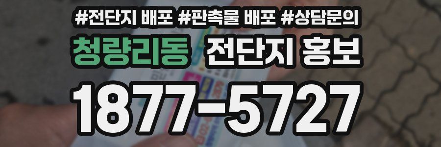 청량리동 전단지 홍보