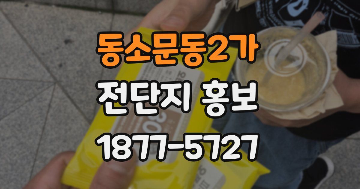 동소문동2가 전단지 홍보