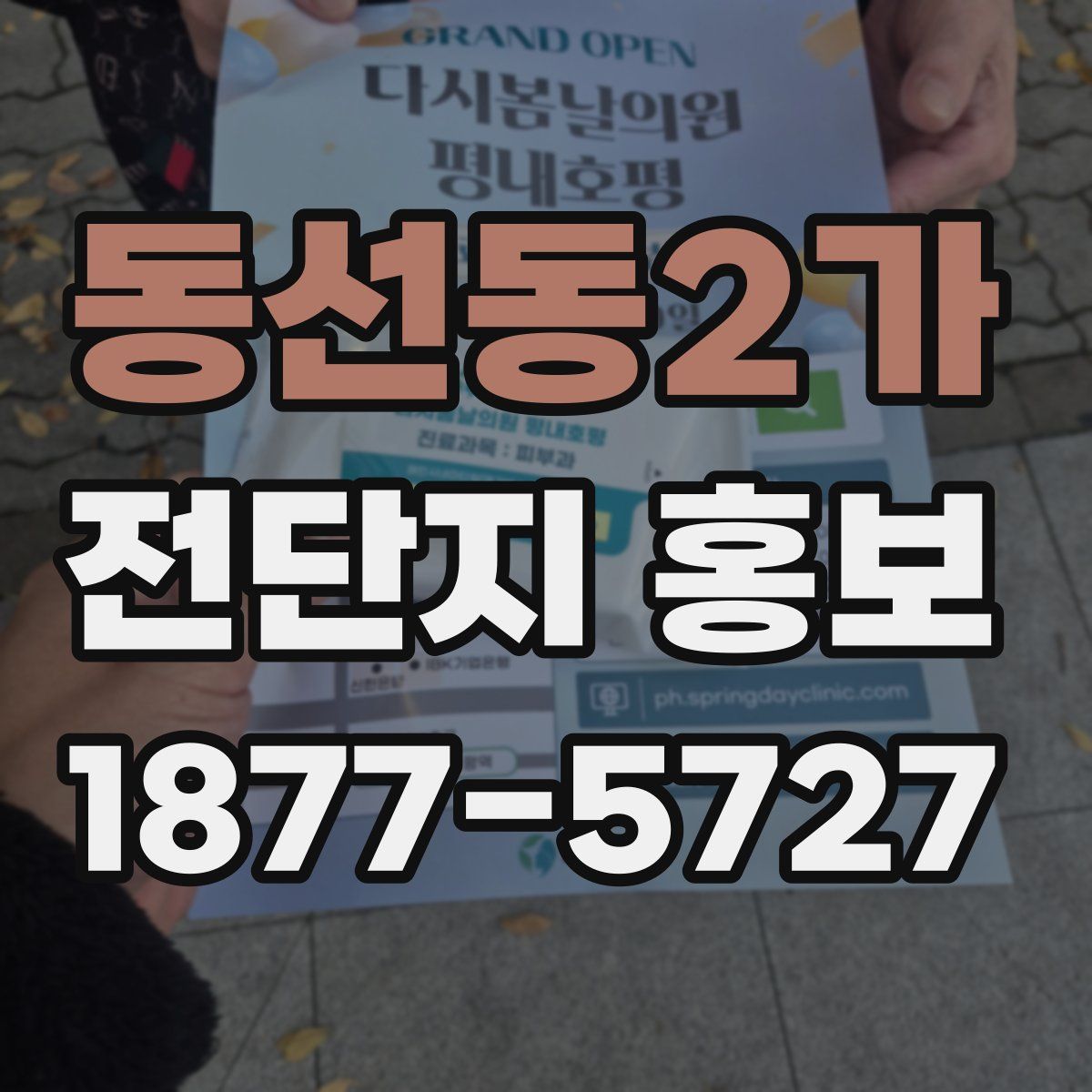 동선동2가 전단지 홍보