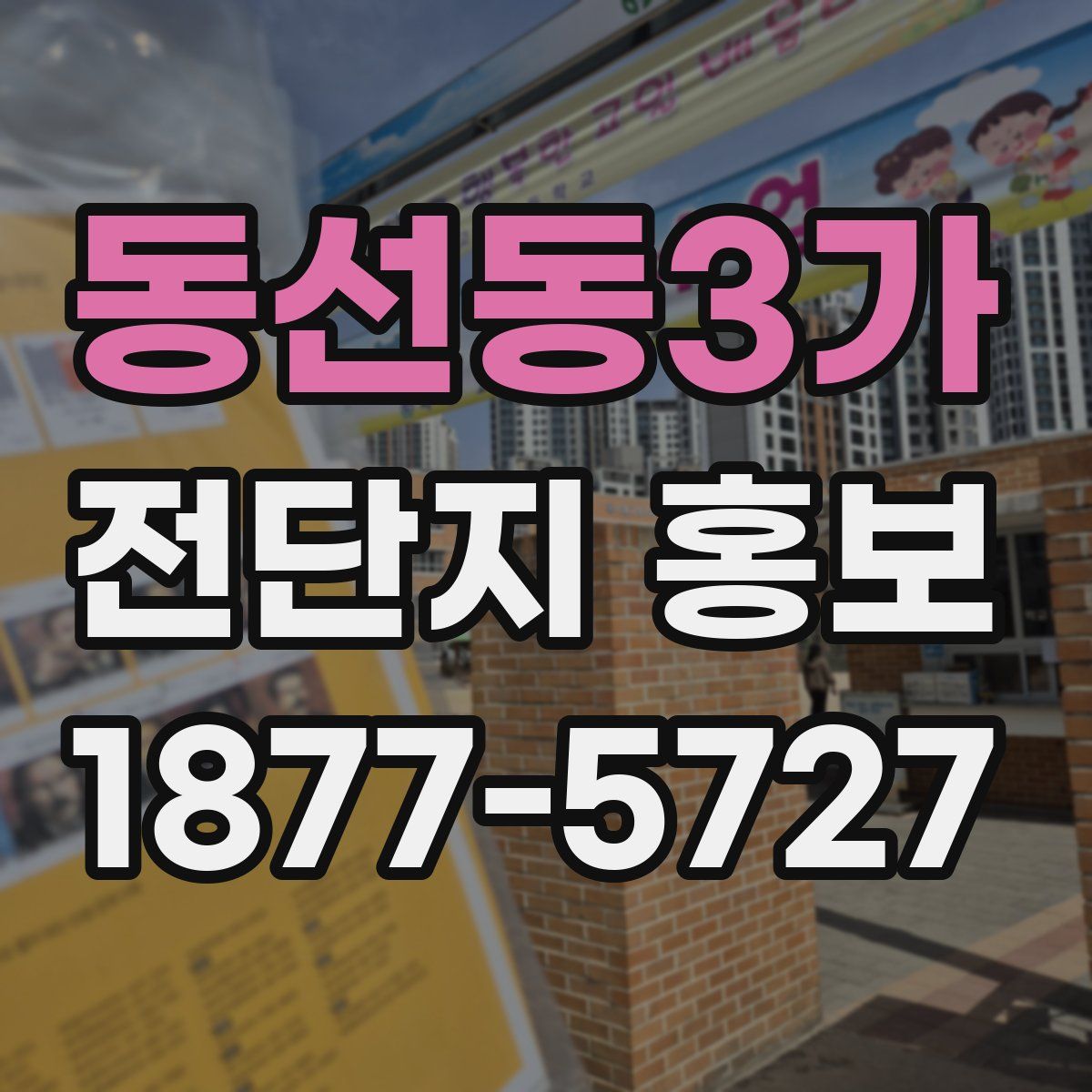 동선동3가 전단지 홍보