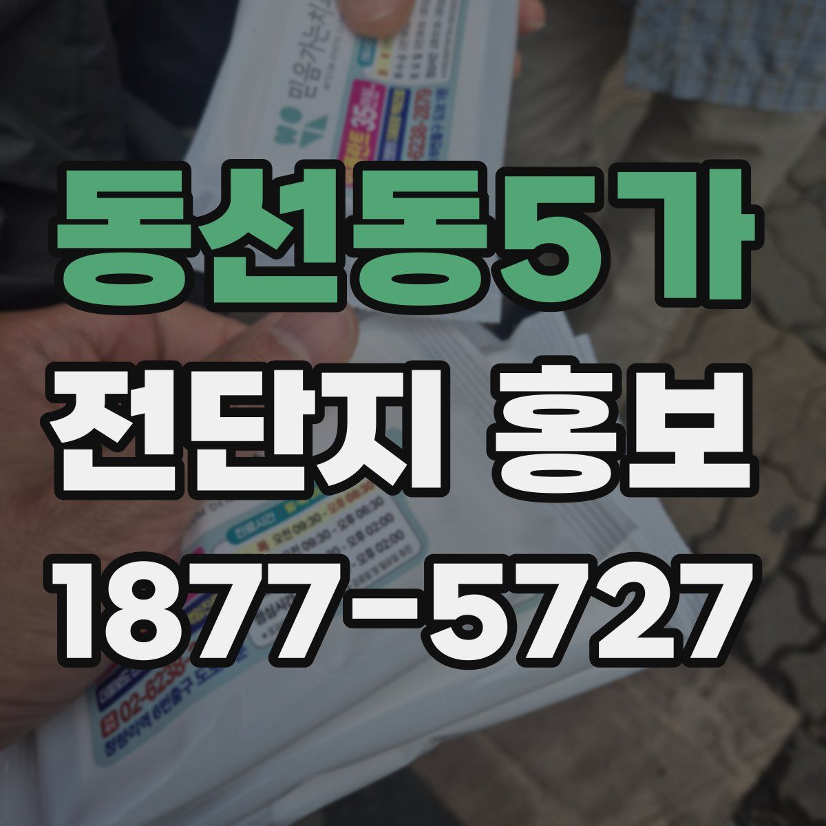 동선동5가 전단지 홍보