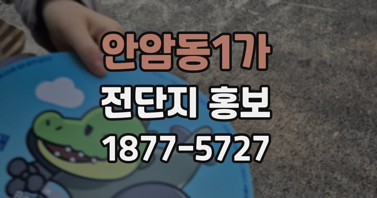 안암동1가 전단지 홍보