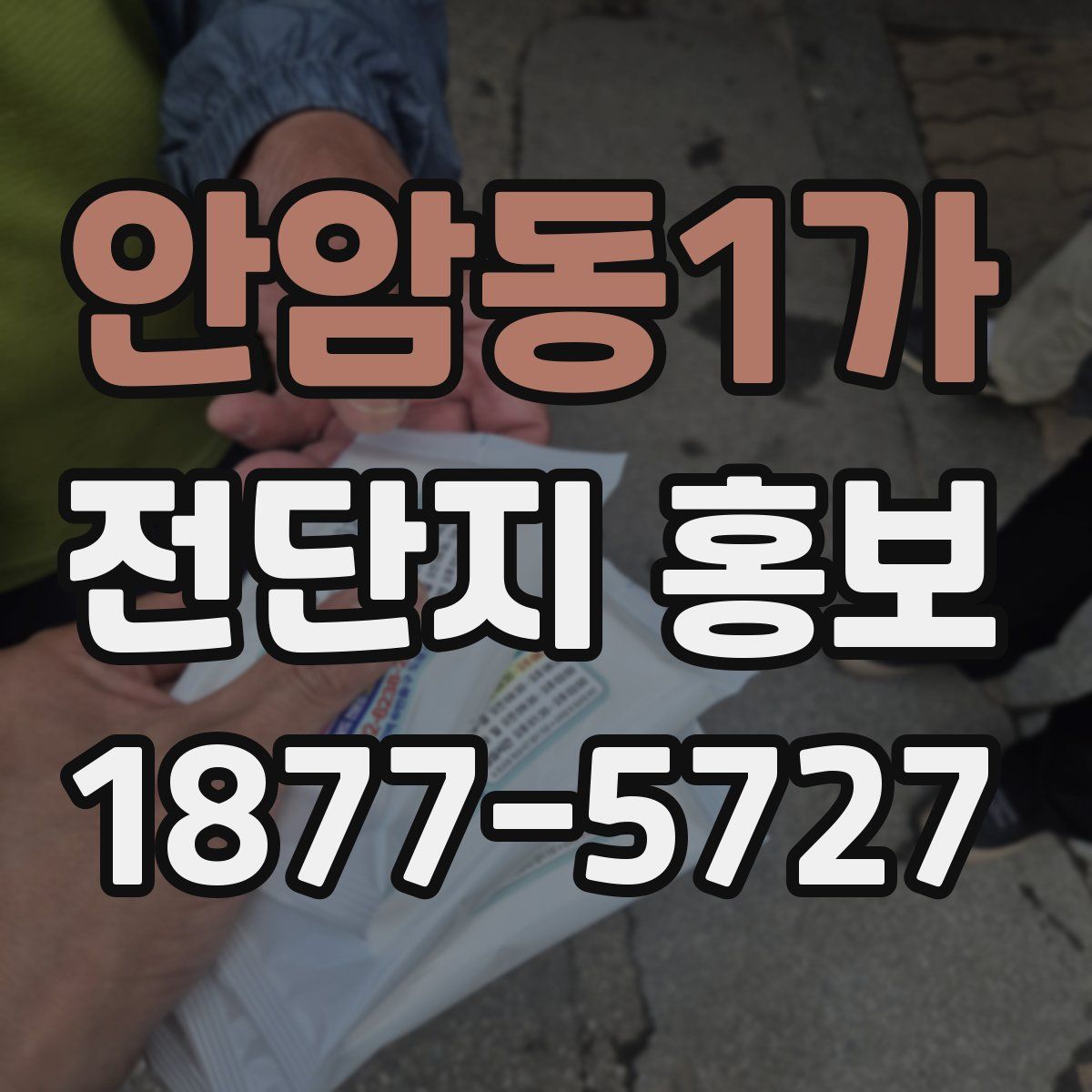 안암동1가 전단지 홍보