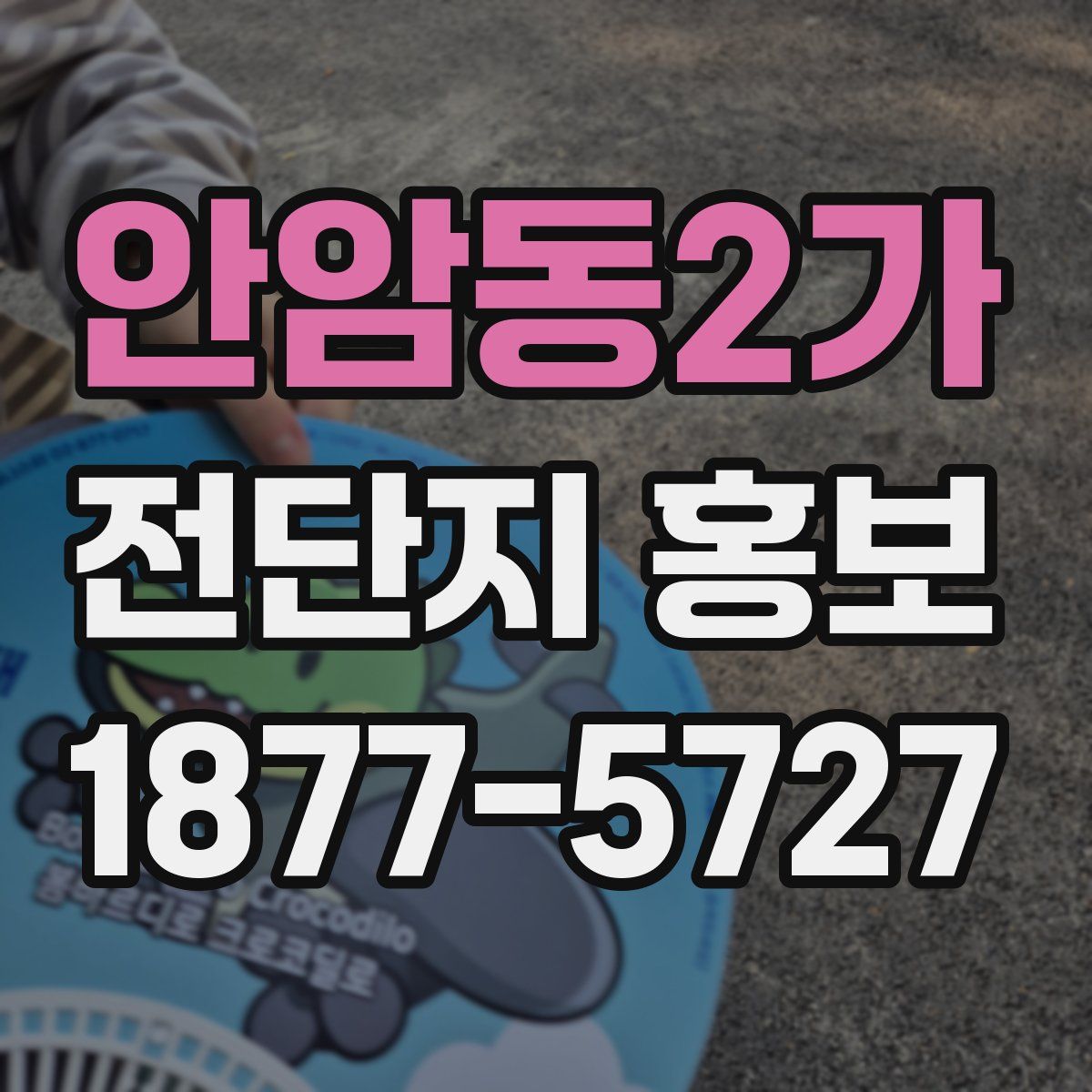 안암동2가 전단지 홍보