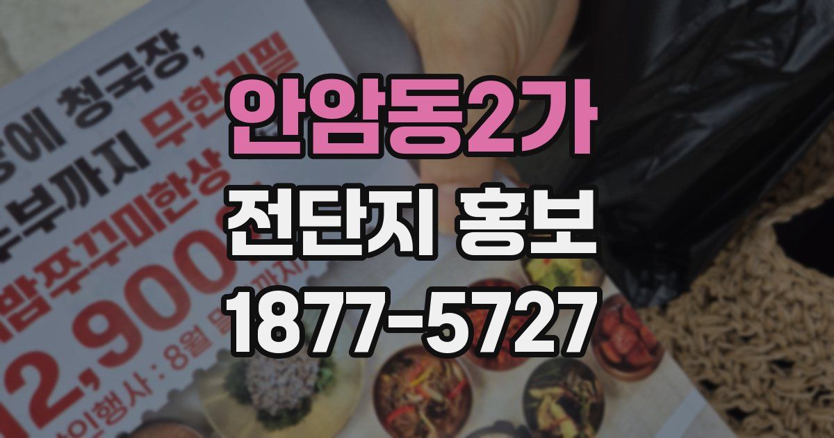 안암동2가 전단지 홍보