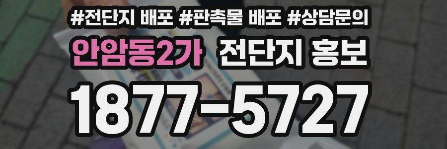 안암동2가 전단지 홍보