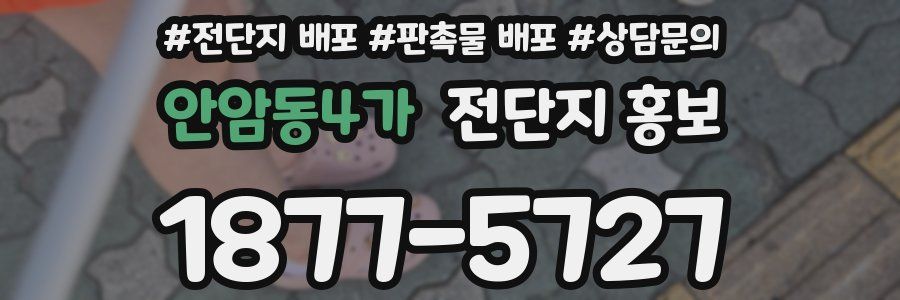 안암동4가 전단지 홍보