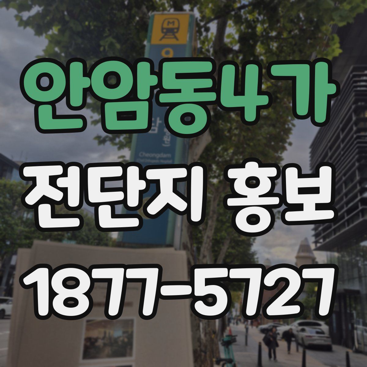 안암동4가 전단지 홍보