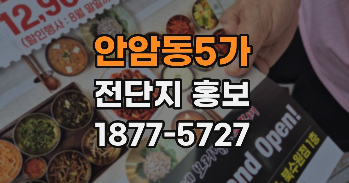 안암동5가 전단지 홍보