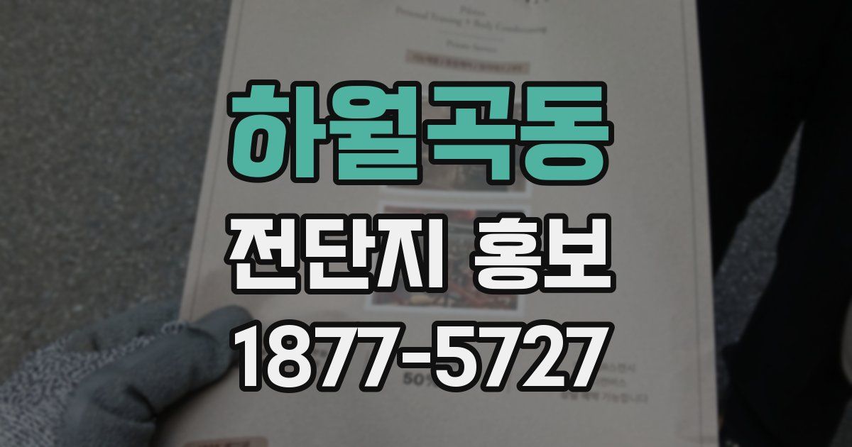 하월곡동 전단지 홍보