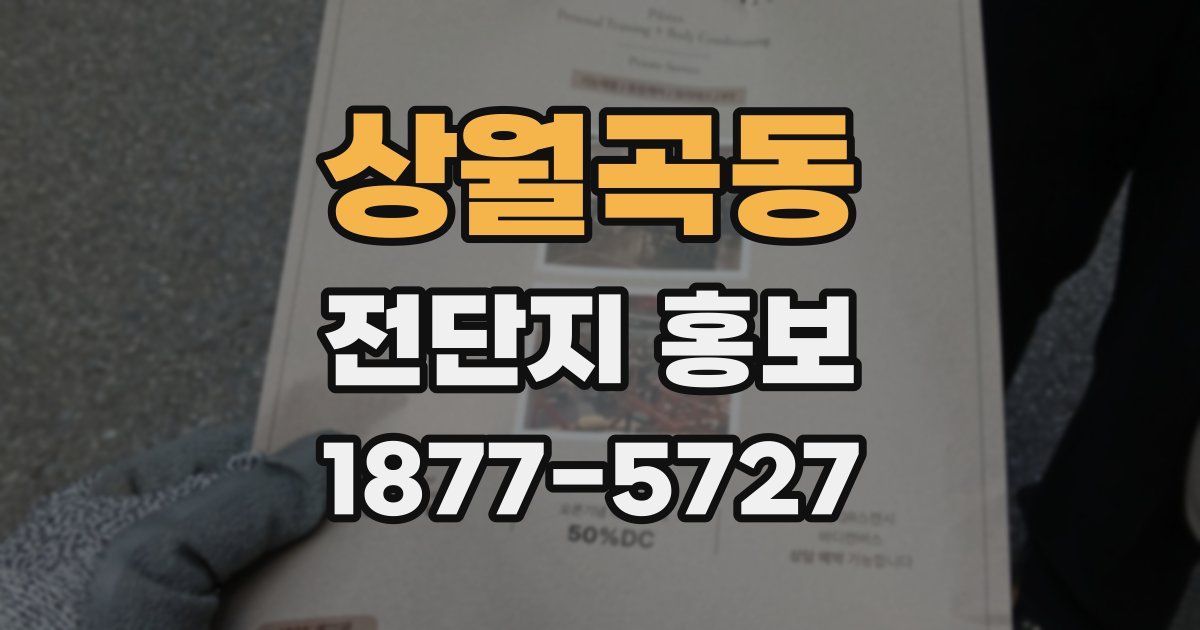 상월곡동 전단지 홍보
