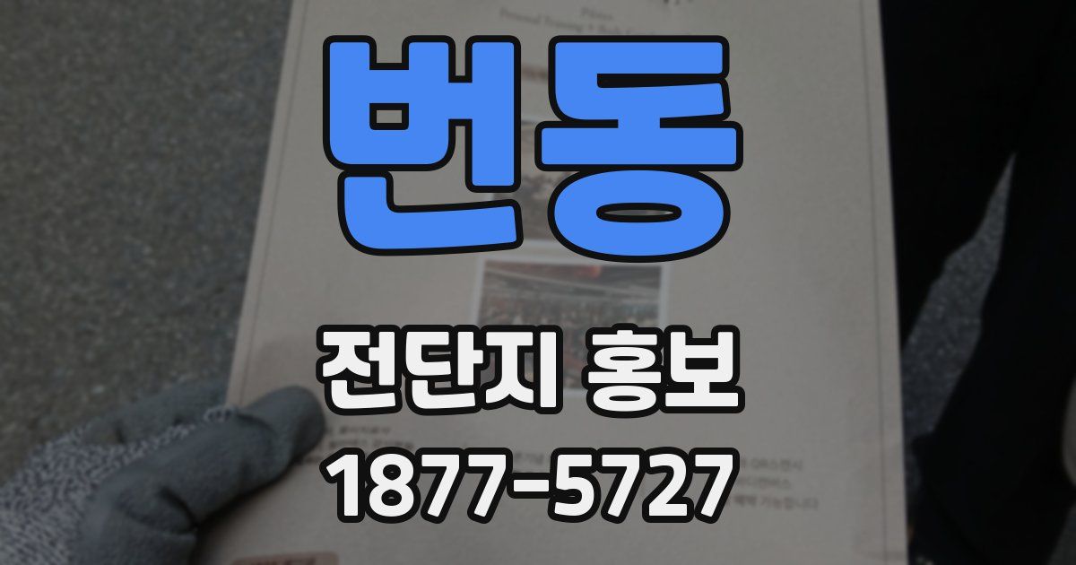 번동 전단지 홍보