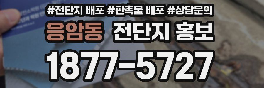 응암동 전단지 홍보