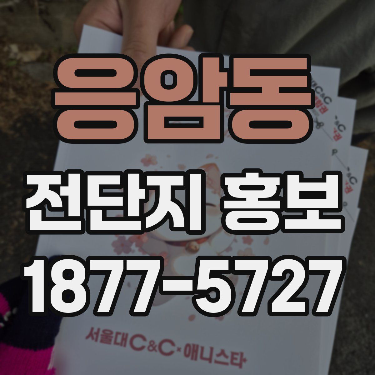 응암동 전단지 홍보