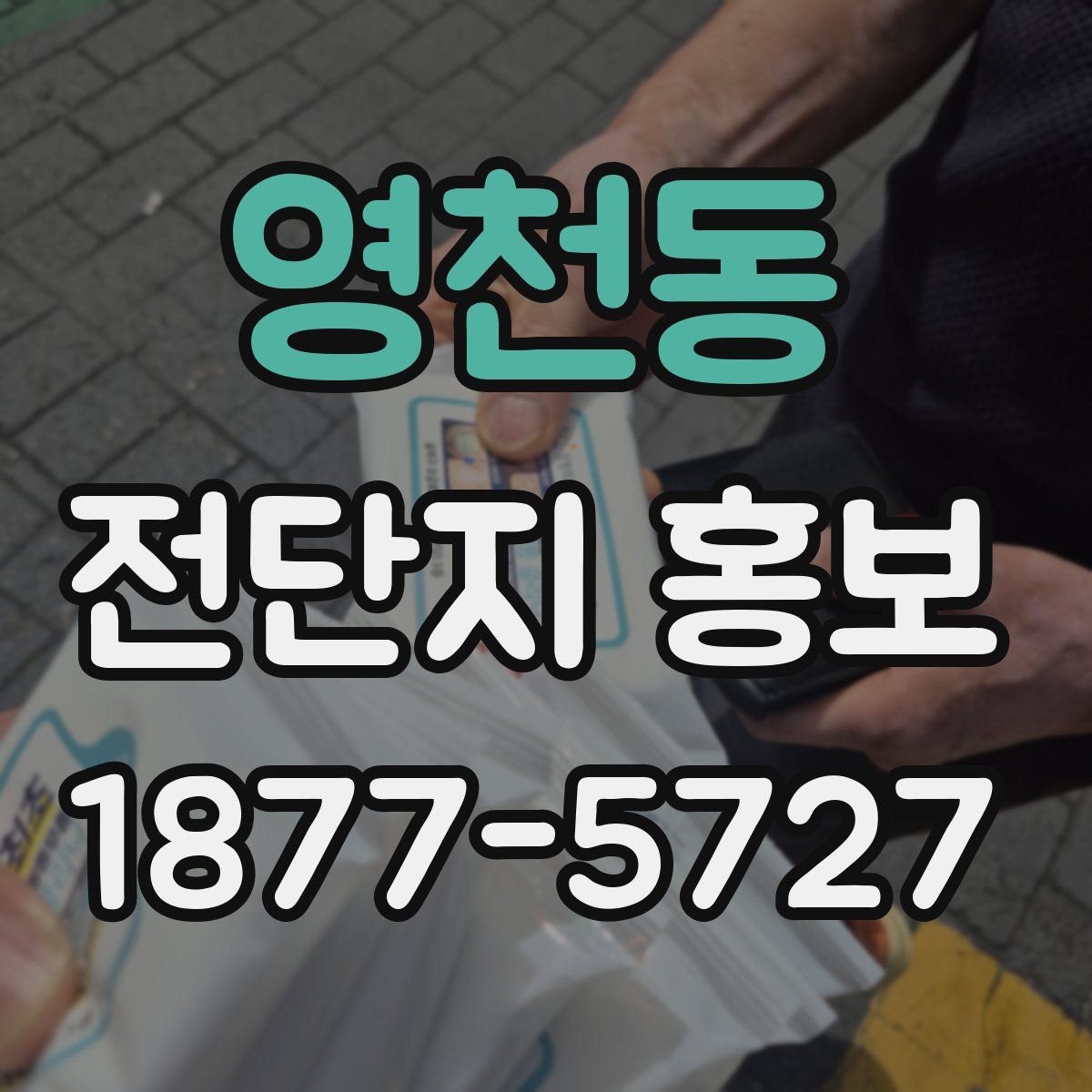 영천동 전단지 홍보