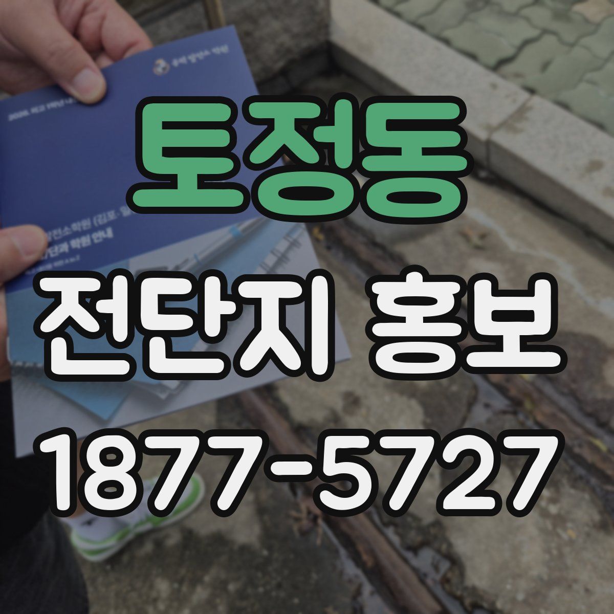 토정동 전단지 홍보