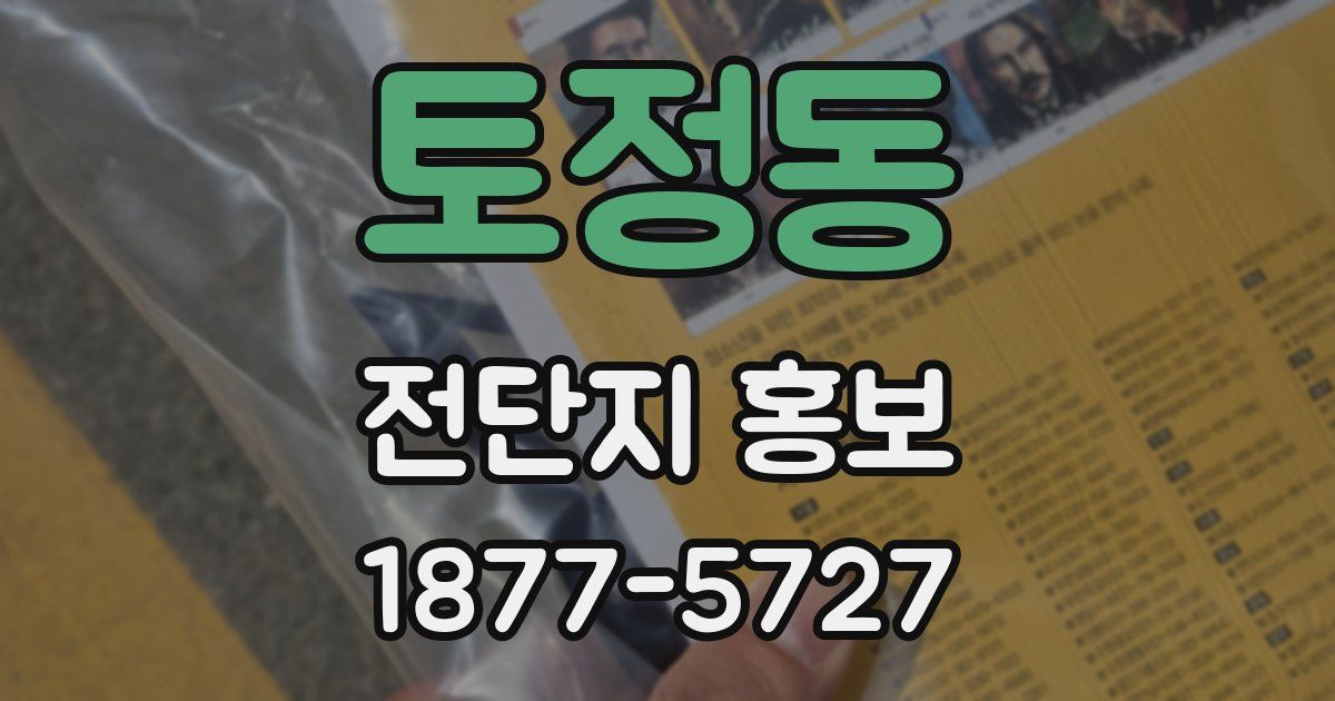 토정동 전단지 홍보