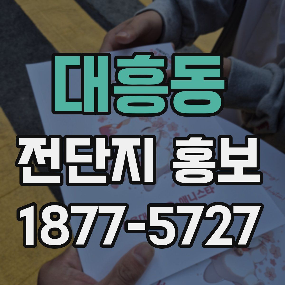 대흥동 전단지 홍보