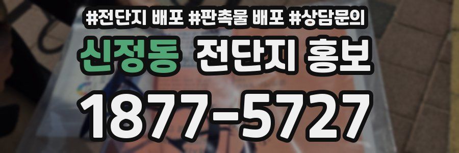 신정동 전단지 홍보