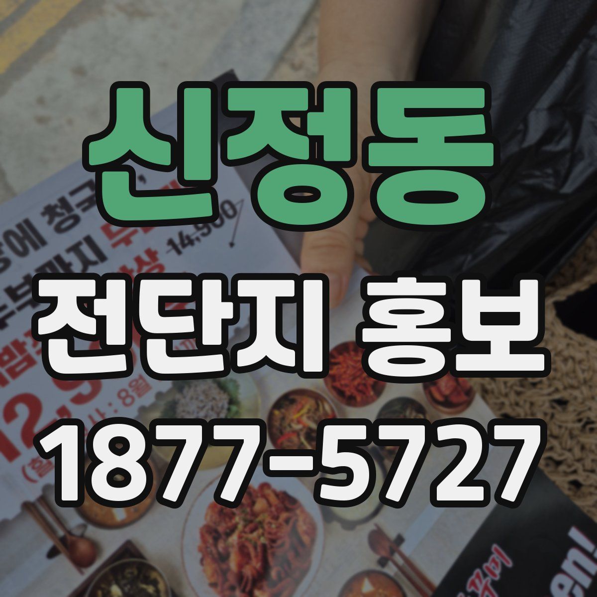 신정동 전단지 홍보