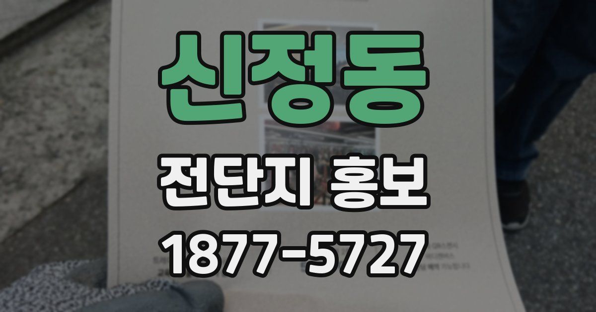 신정동 전단지 홍보