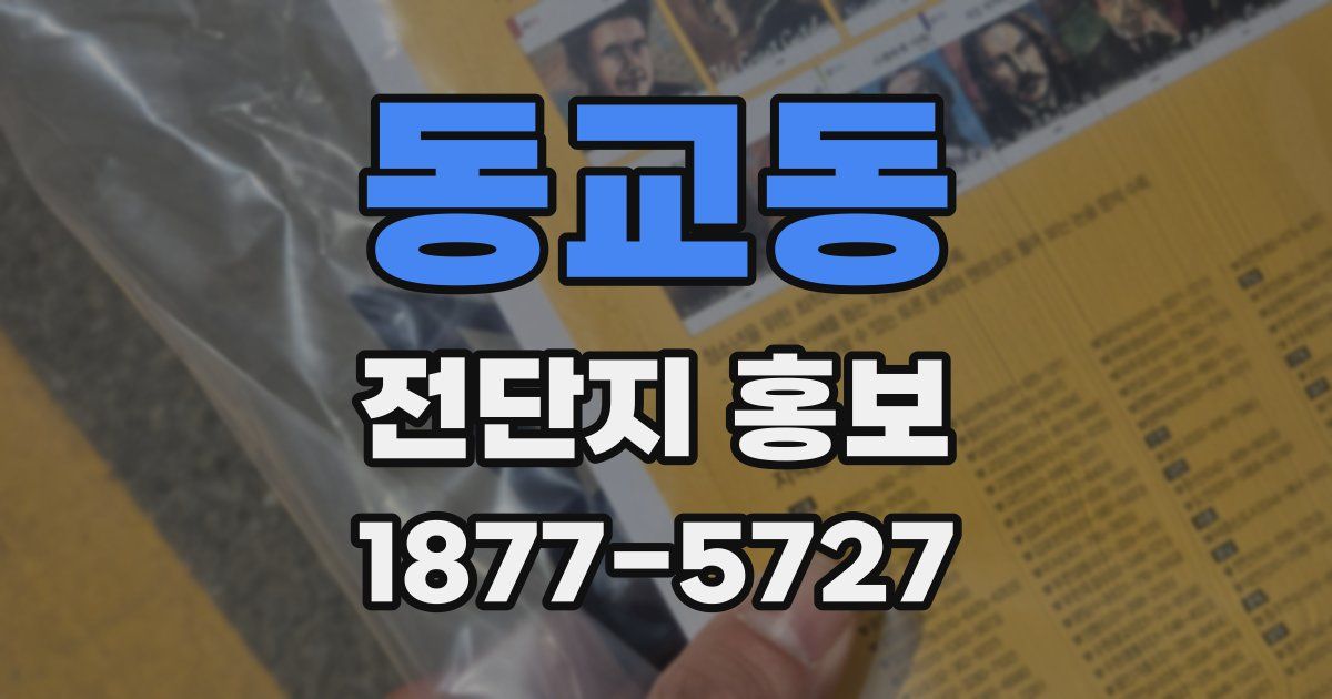 동교동 전단지 홍보