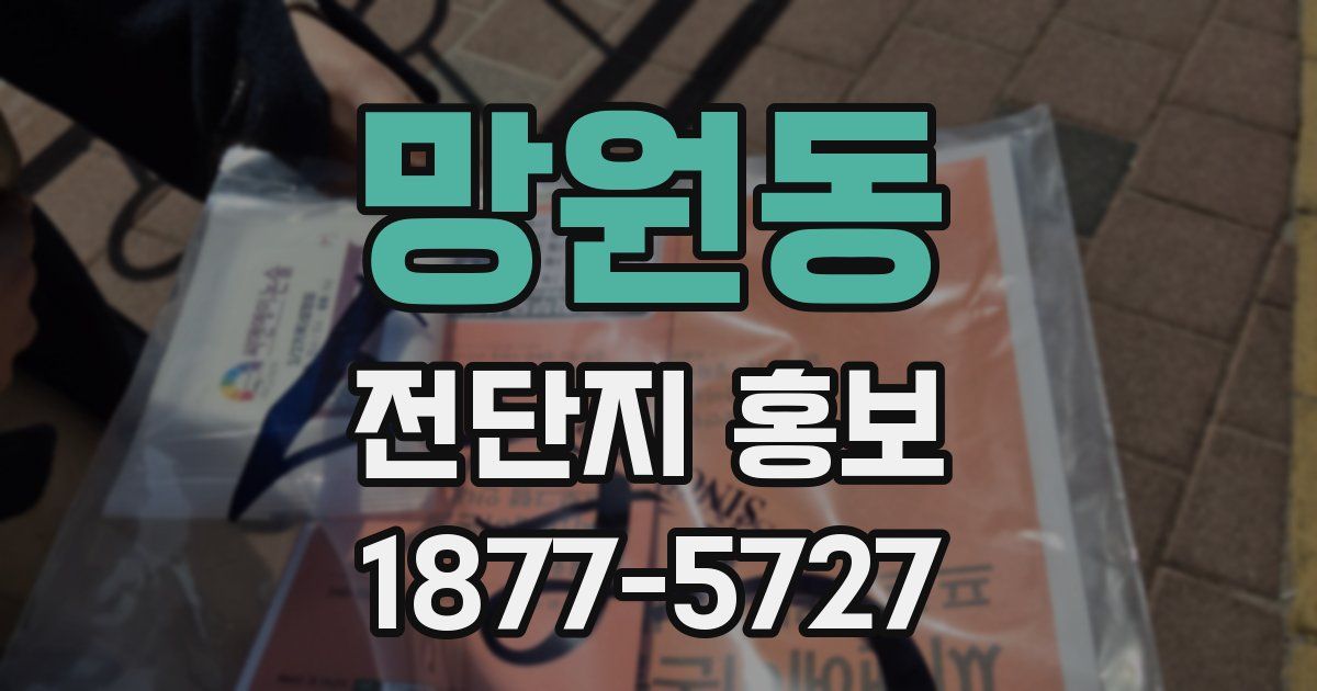망원동 전단지 홍보