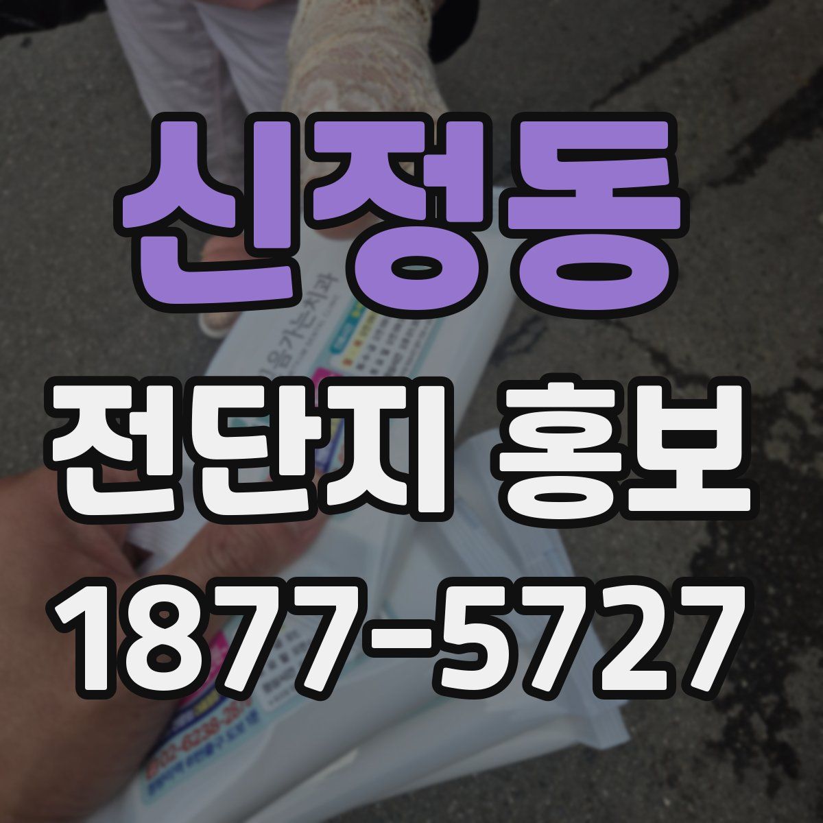 신정동 전단지 홍보