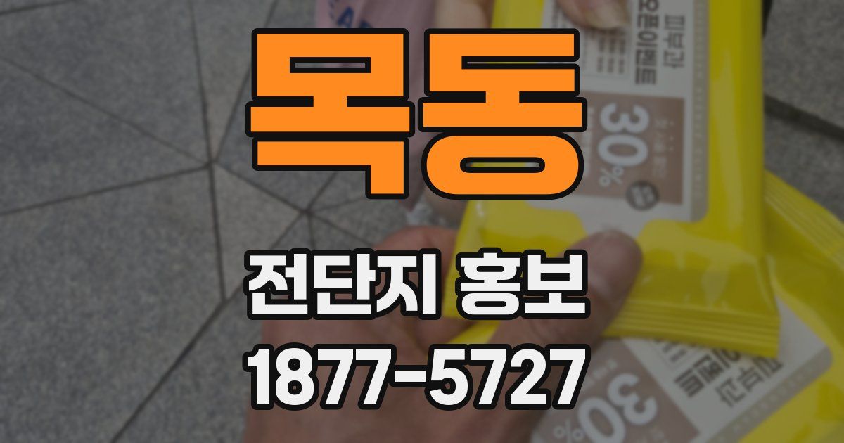 목동 전단지 홍보