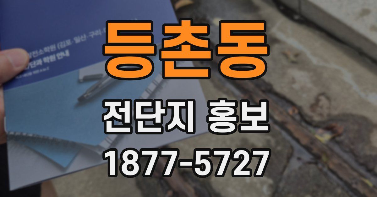 등촌동 전단지 홍보