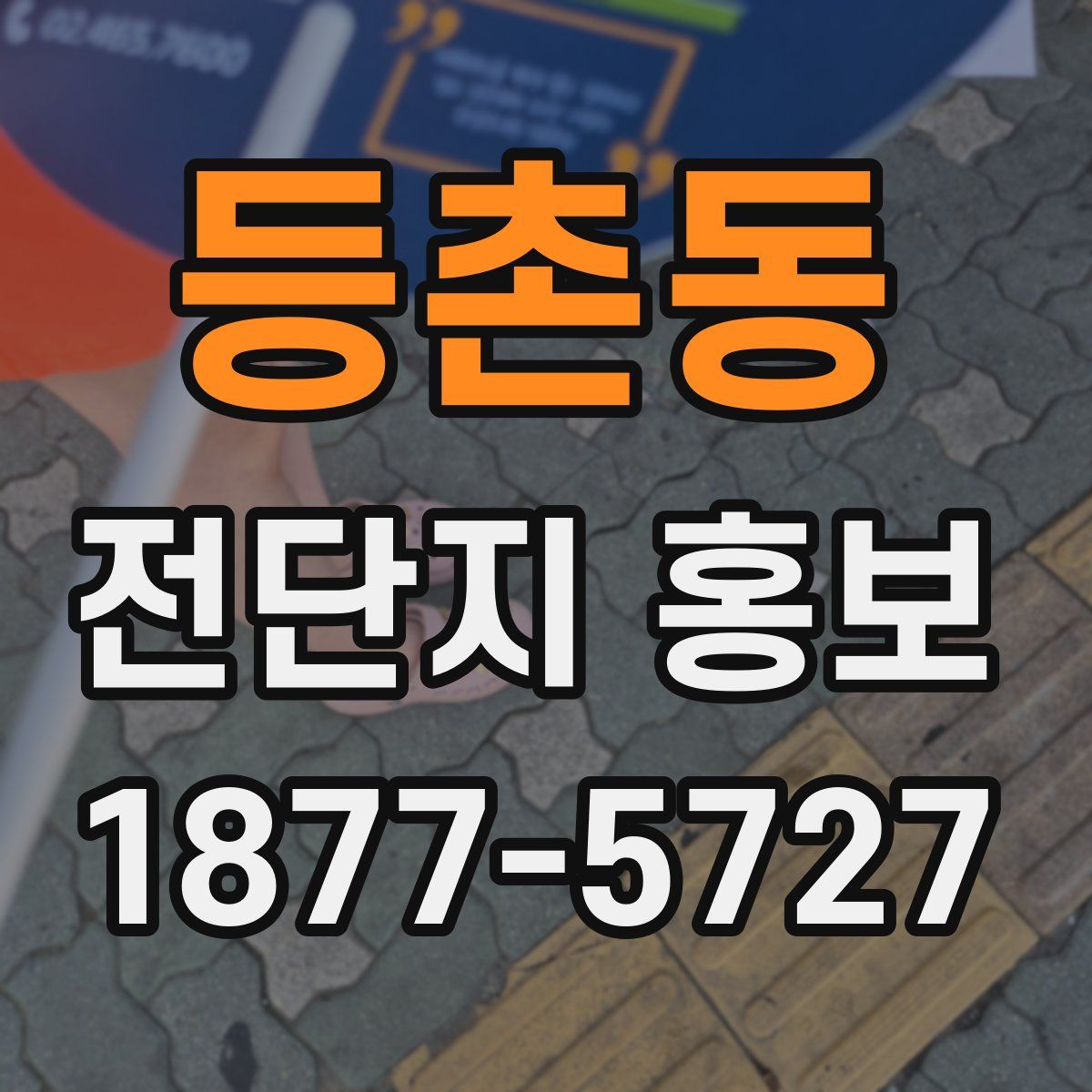 등촌동 전단지 홍보