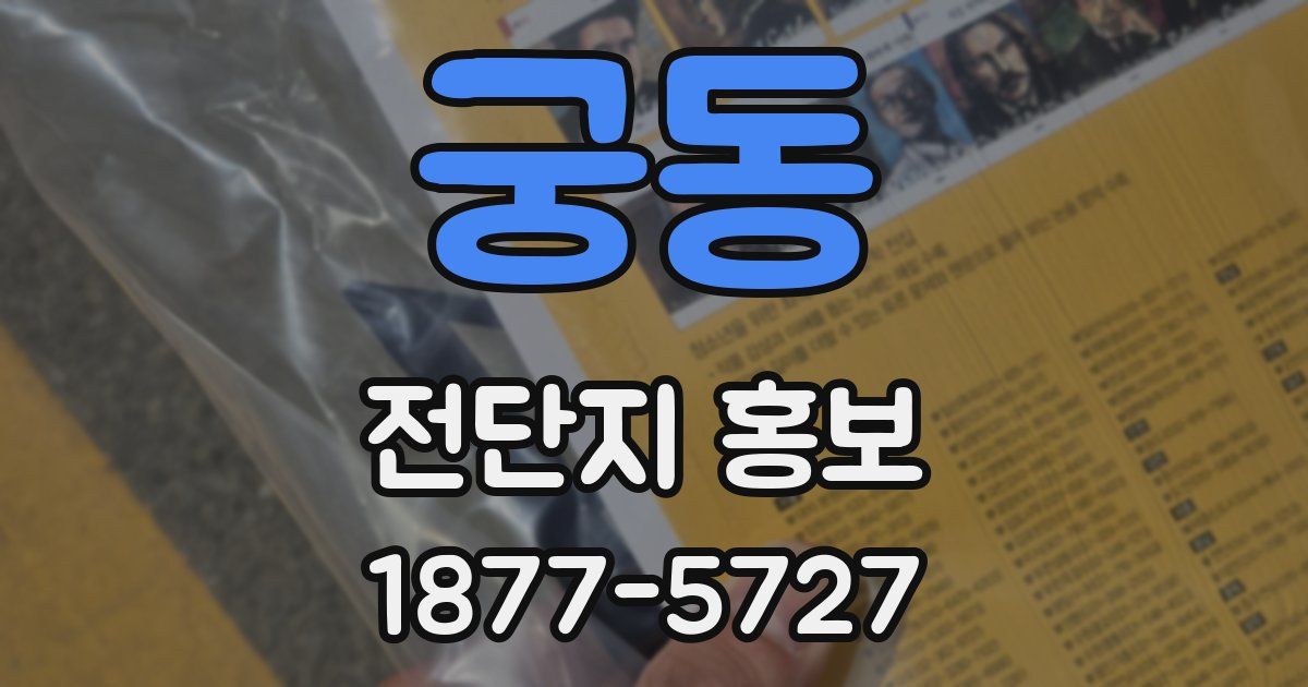궁동 전단지 홍보