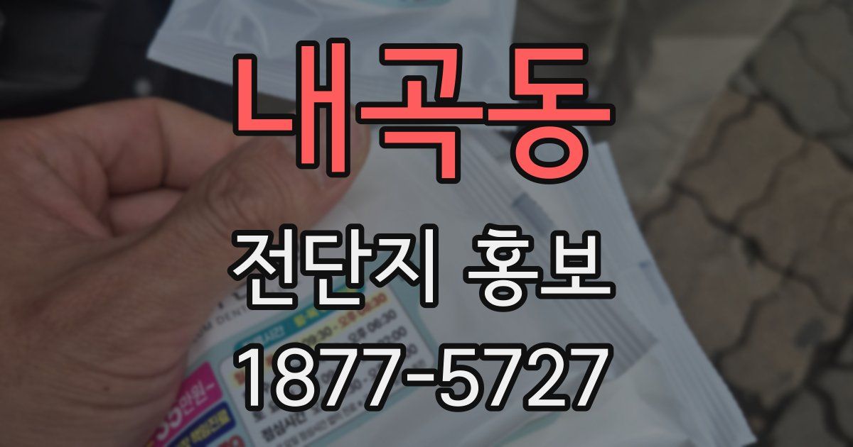 내곡동 전단지 홍보