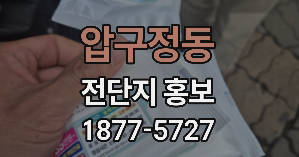 압구정동 전단지 홍보