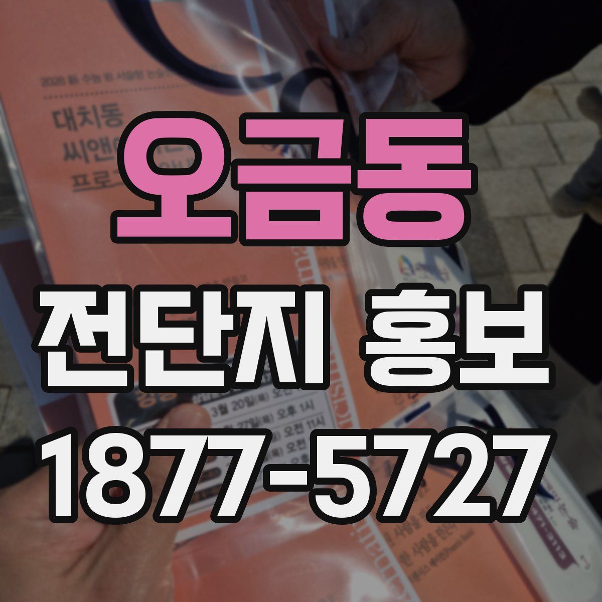 오금동 전단지 홍보
