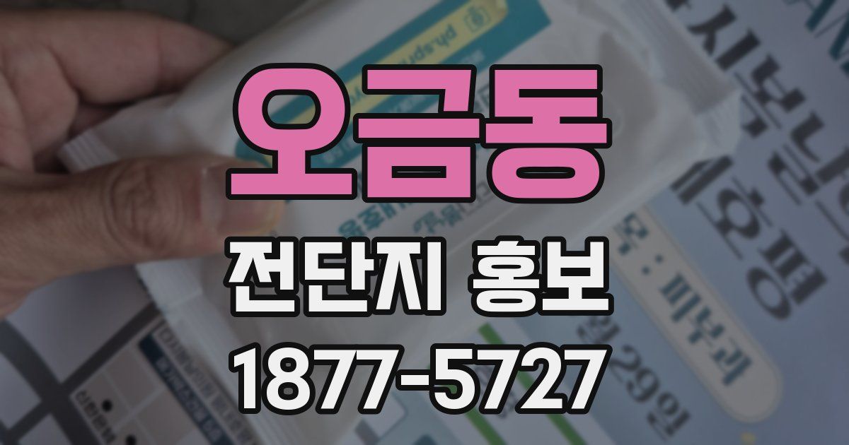 오금동 전단지 홍보