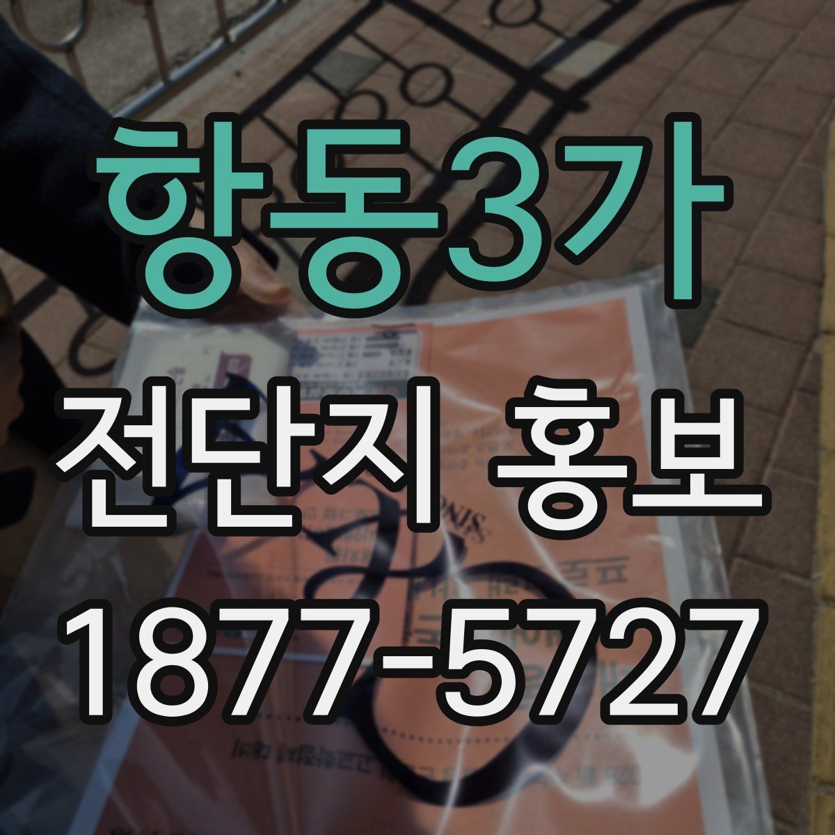 항동3가 전단지 홍보