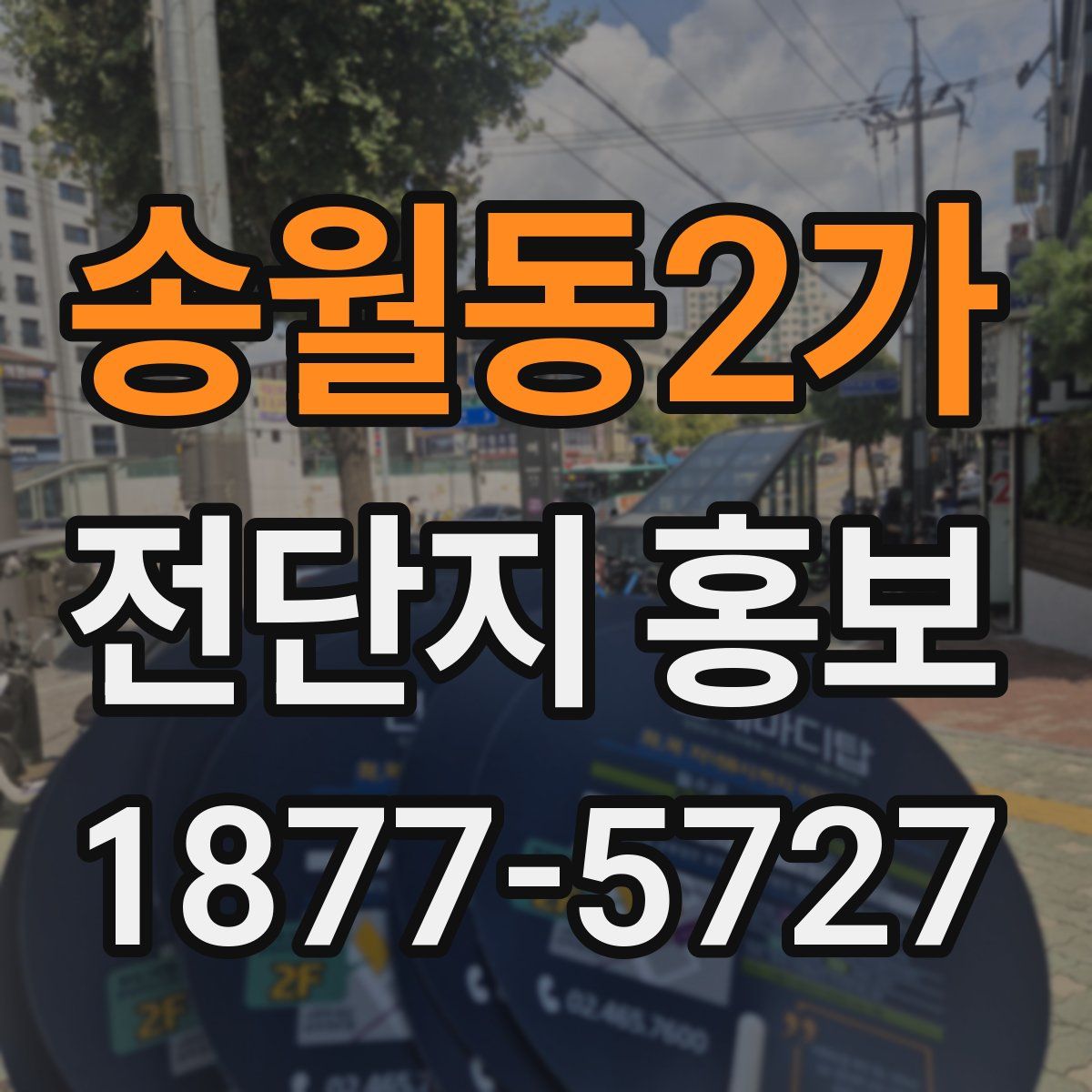 송월동2가 전단지 홍보