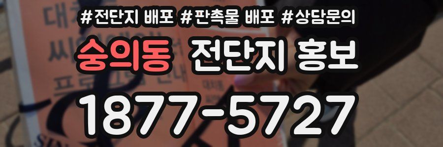 숭의동 전단지 홍보