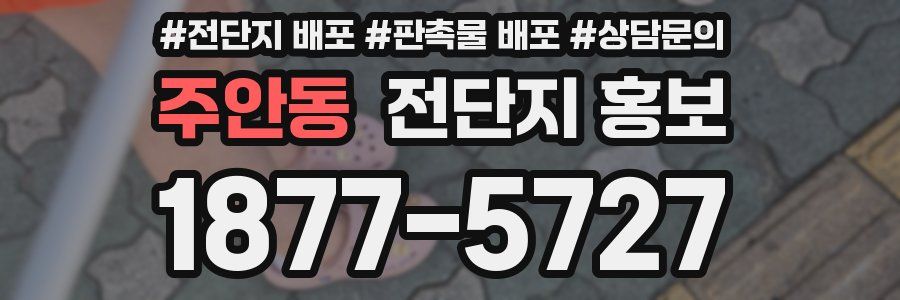 주안동 전단지 홍보