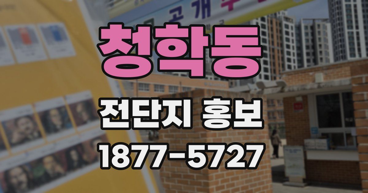 청학동 전단지 홍보